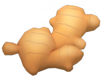 Ginger