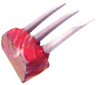 Venison