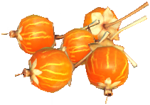 Buy Dreamlight Valley Items Cape Gooseberry in Dreamlight Valley. 50 per stack.