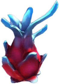 Dreamlight Fruit