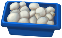 Mushroom