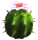 Buy Dreamlight Valley Items Pink Cactus Flower