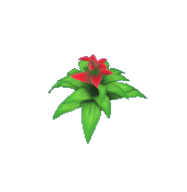 Buy Dreamlight Valley Items Red Bromeliad