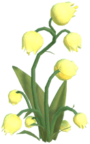 Dreamlight Valley - Yellow Lily of the Valley
