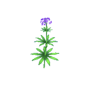 Buy Dreamlight Valley Items Purple Marsh Milkweed