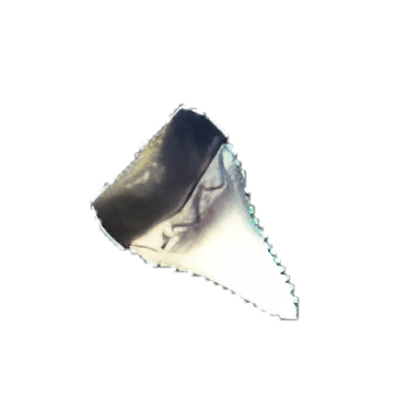 Buy Dreamlight Valley Item Sea Monster Tooth