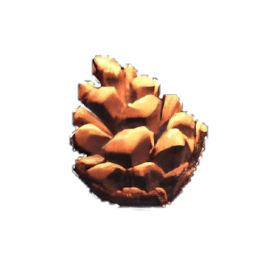 Buy Dreamlight Valley Item Pine Cone