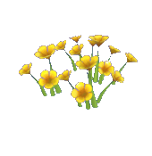 Buy Dreamlight Valley Items Yellow Nasturtium