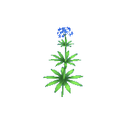 Buy Dreamlight Valley Items Blue Marsh Milkweed