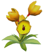 Dreamlight Valley - Yellow Crocus