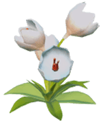 Dreamlight Valley - White Crocus