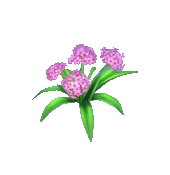 Buy Dreamlight Valley Items Pink Hydrangea